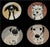 Sally Muir Dog-a-Day Dessert Plate Set of 4 For Sale In Atlanta - Image 6 of 7