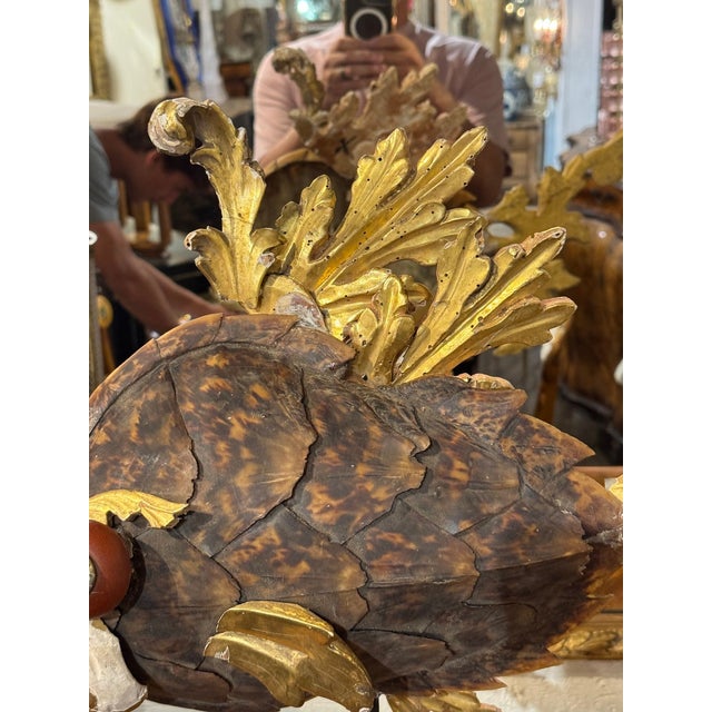 19th C. Italian Element Fish Sculpture For Sale - Image 4 of 7