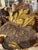 19th C. Italian Element Fish Sculpture For Sale - Image 4 of 7