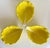 1960s Secla Portuguese Yellow Majolica Cabbage Leaf Bowls – Set of 3 For Sale - Image 11 of 11