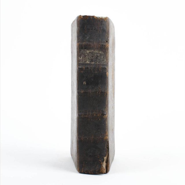Animal Skin Leo a Sancto Laurentio - Concionum Adventualium, 1737 For Sale - Image 7 of 12