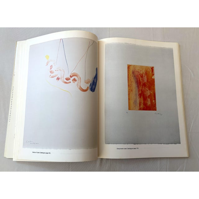 Paper Helen Frankenthaler Prints: 1961-1979 First Edition Soft Cover For Sale - Image 7 of 10