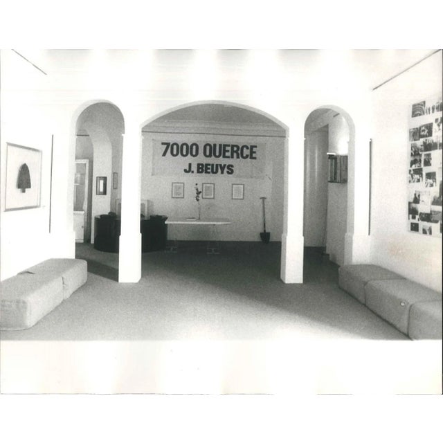 7000 Oak Trees - Original Vintage Photo by Buby Durini - 1984 ca. 1984 ca. For Sale - Image 3 of 3