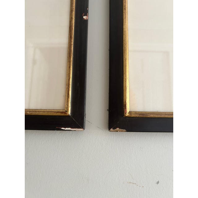 Set of 4 Framed 18th Century George Edward’s Hand Colored Bird Prints For Sale In Kansas City - Image 6 of 11