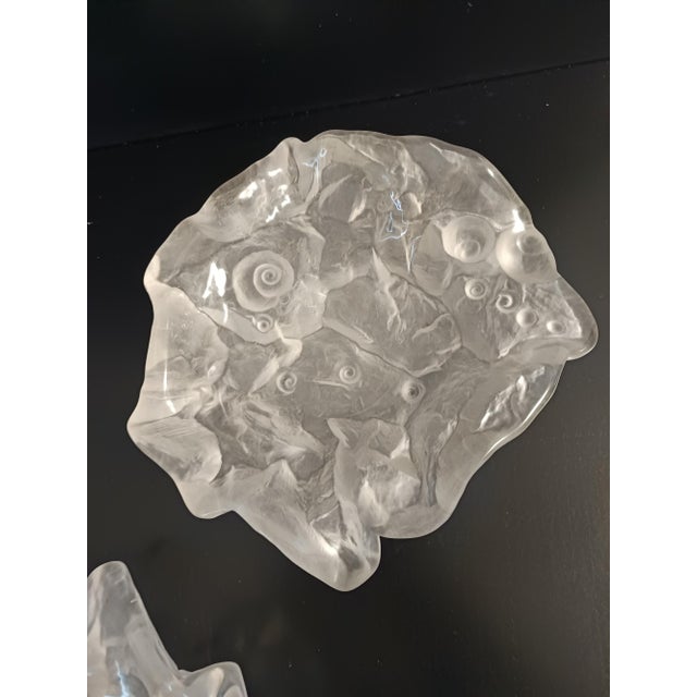 Transparent Crystal Trinket Bowl or Ashtray with Shells attributed to Jolanda Prinsen, 1970s For Sale - Image 10 of 10