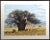 1970s Dallas John "Savanna" Realistic Serigraph Art Print 1979 Unframed Giraffe African Landscape For Sale - Image 5 of 5