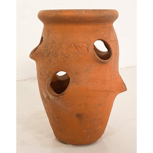 Small English Garden Planter Pot or Urn of Terracotta for Strawberries For Sale - Image 4 of 7