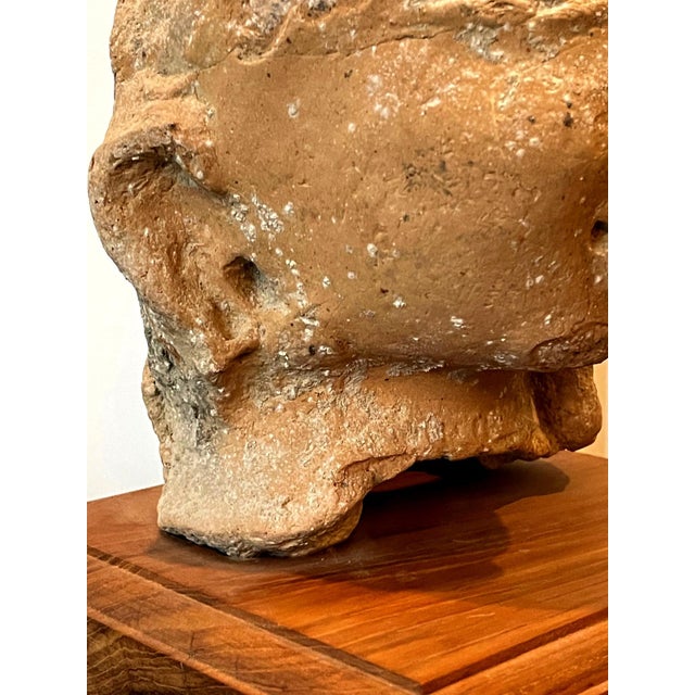 Indian Terracotta Sculpted Head Gupta Period For Sale - Image 16 of 17