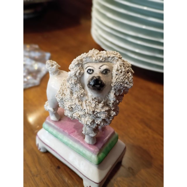 Antique Staffordshire Spaghetti Poodle Figurine For Sale In Baltimore - Image 6 of 7
