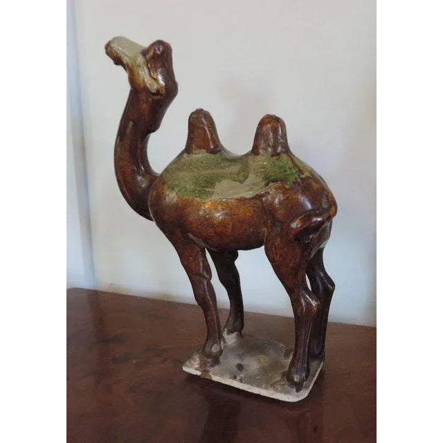 Chinese Tang Pottery Model of a Camel For Sale - Image 9 of 11