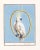 Reproduction White Cockatoo Bird on Blue Background Unframed Pigment Print For Sale
