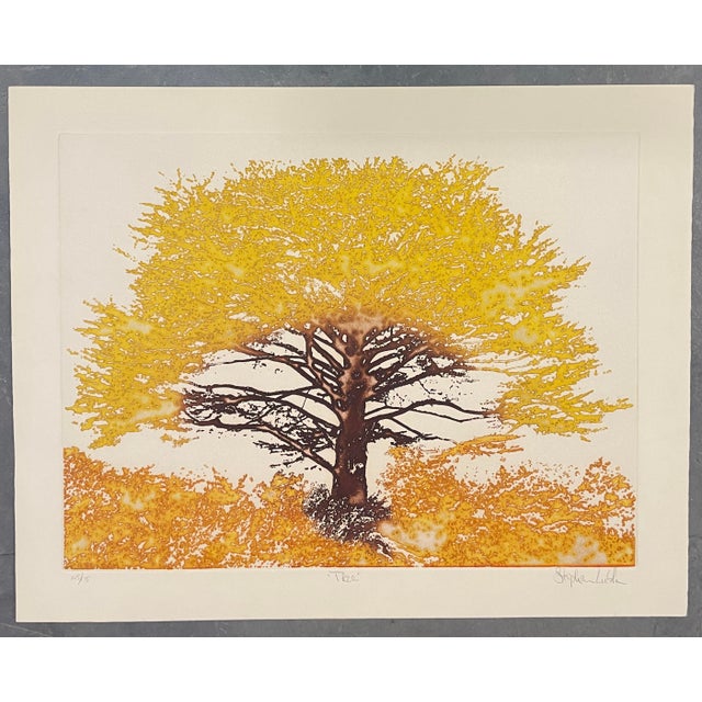 1970s 1970s Stephen Luskin Tree Color Etching For Sale - Image 5 of 6