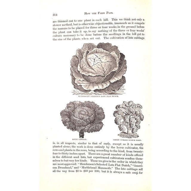 "How the Farm Pays the Experiences of Forty Years of Successful Farming and Gardening" 1884 Crozier, William and Henderson, Peter For Sale - Image 11 of 12