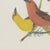 1940s Descourtilz, Red Tanagers, Brazilian Bird Print,1944, Paper For Sale - Image 5 of 12