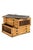 Large Plan Chest in Pine For Sale - Image 5 of 16