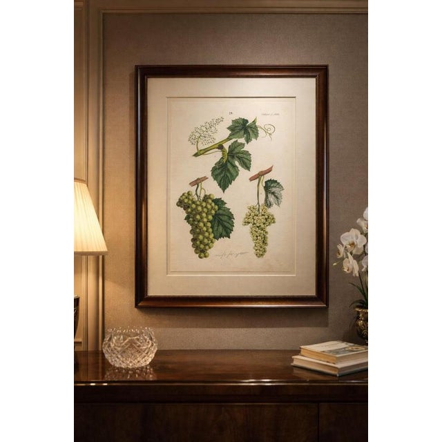 This impressive set of six original mid-19th century botanical chromolithographs was published in Stuttgart in 1854 under...