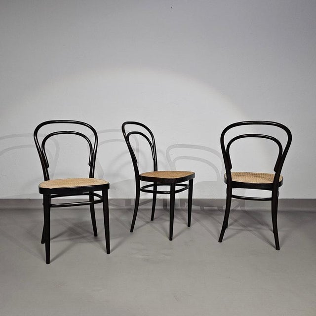 Model 214 and 79 Cafe Chairs with Cane Seats by Michael Thonet, Set of 3 For Sale - Image 18 of 18