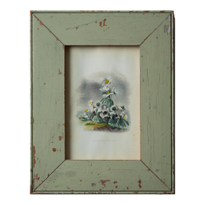 j.j. Grandville’s Les Fleurs Animees Print