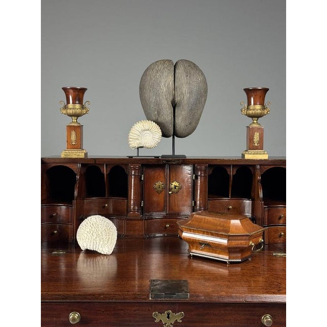 English Secretary in Teak, 18th Century For Sale - Image 16 of 18