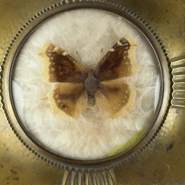 Vintage Jewelry Box from Dralle, Germany 1930s For Sale - Image 10 of 18