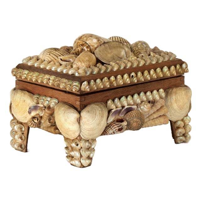 Antique English Seashell Encrusted Music Box For Sale