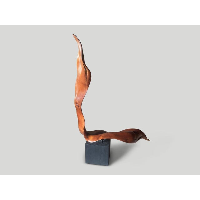 Andrianna Shamaris Mahogany Wood Sculptural Chair or Art Piece For Sale - Image 10 of 18