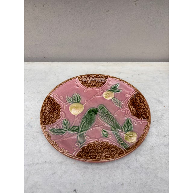 Majolica plate with two parakeets on a very rare pink background with oranges of Salins, circa 1890.
