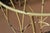 American Timmerman Pale Yellow Wrought Iron & Glass Top Round Patio Bistro Bar Set W/ 3 Swivel Stools For Sale - Image 3 of 17