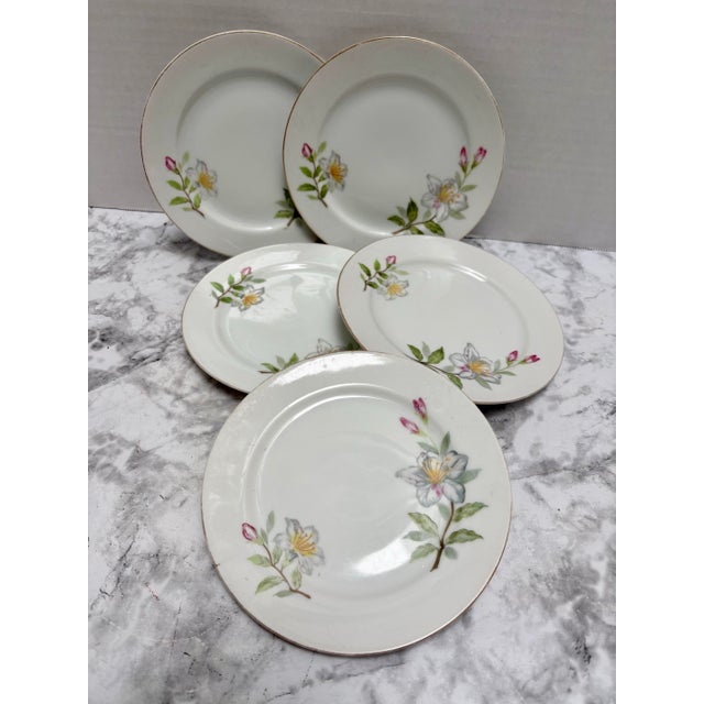 Vintage Floral Porcelain China Side Plates, Set of Five For Sale - Image 9 of 10
