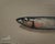 Contemporary Vivek Mandalia, Sardine Fish, Oil on Canvas For Sale - Image 3 of 3