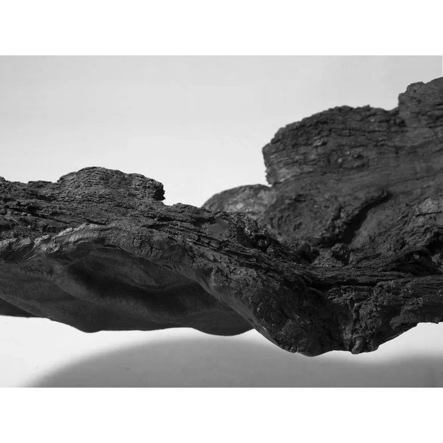 Bioma Armchair by Imperfettolab For Sale - Image 11 of 12