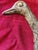 Wood Sarreid Mid-Century Modern Ostrich Statue For Sale - Image 7 of 12