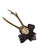 Cabin Roe Deer Trophy 148 Black Foret Antlers For Sale - Image 3 of 5