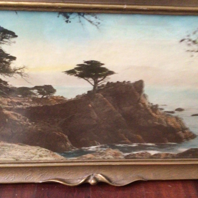 Vintage 1920s Hand Colored Photograph of the Lone Cypress in Monterey, California For Sale - Image 10 of 12