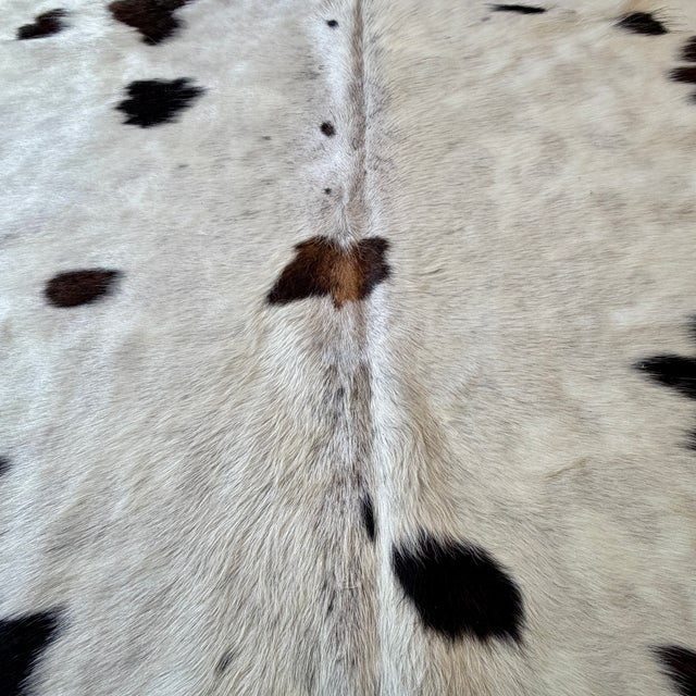 Natural Brazilian Black and White Cowhide Rug 76" X 86" For Sale - Image 4 of 6
