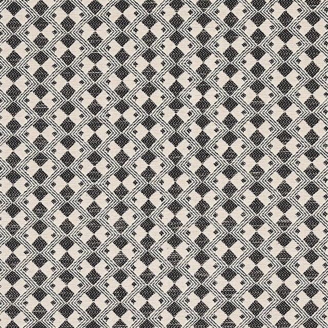 Sample - Schumacher Huxley Fabric in Vintage Black For Sale