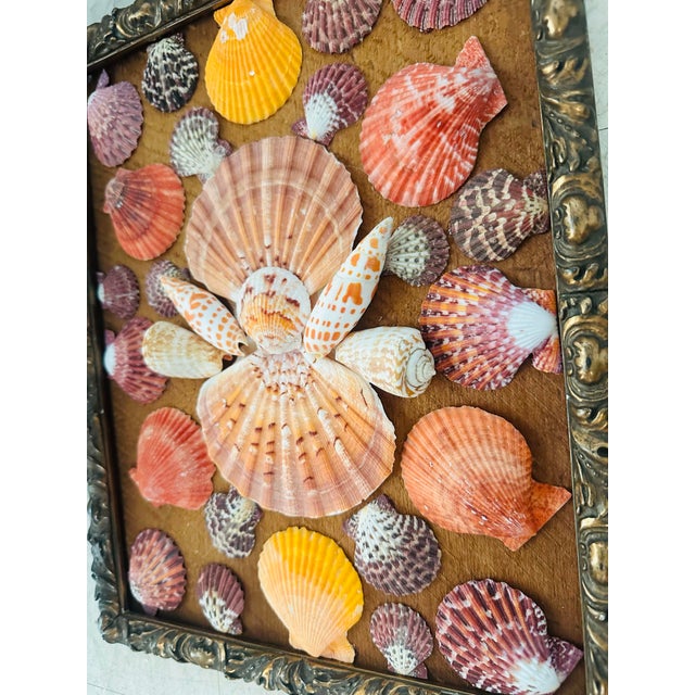 Antique Frame With Shell Art For Sale - Image 4 of 6