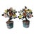 Pair of Vintage Gemstone & Cloisonné Enamel Bonsai Trees – Jade, Agate & Crystal Flowers For Sale