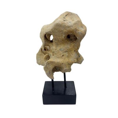 Tribal Indonesian Coral Stone On Teak Stand For Sale - Image 3 of 5