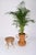 Bamboo and Rattan Vase by Vivai del Sud, Italy, 1970s For Sale - Image 15 of 17