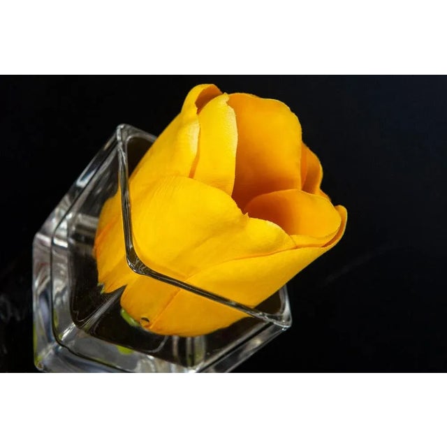 Italian Eternity Placeholder Tulip Yellow Set Arrangement Composition from VGnewtrend, in New conditions. Designed from 2000