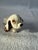 White Porcelain Cute Little Puppy For Sale - Image 8 of 10