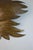 Metal Mid-Century Modern Plane Tree Leaf Wall Sconce in Gilt Brass, 1950s For Sale - Image 7 of 10