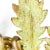 2000s Cs Arte Firenze Cast Bronze Oak Branches With Leaves and Acorns Candleholders- Set of 2 For Sale - Image 11 of 11