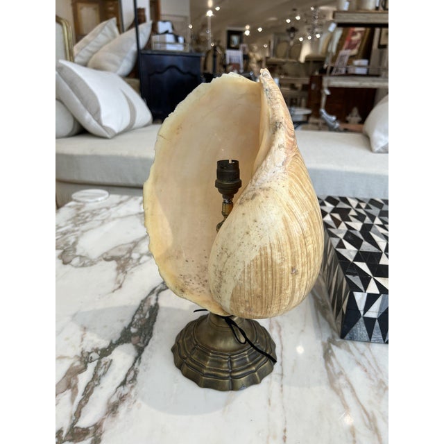 Illuminate your space with the distinctive charm and retro elegance of this Mid-Century Shell Lamp. With its unique design...
