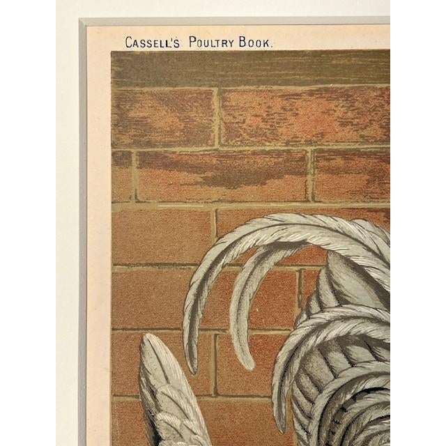 Black Pair 1872 Vintage Lithos, - Hens + Cocks Reproduction For Sale - Image 8 of 8