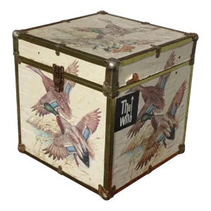 Vintage 16" High Mid Century Modern Storage Box ~ Record Holder Box W Duck Birds