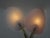 Floral Wall Lights in Acrylic Glass & Brass from Geru Lights, 1950s, Set of 2 For Sale - Image 9 of 18