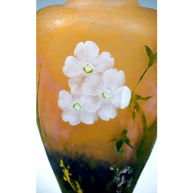 Art Nouveau Cameo Vase with Primroses Decor from Daum Nancy, France, 1920 For Sale - Image 6 of 12