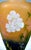 Art Nouveau Cameo Vase with Primroses Decor from Daum Nancy, France, 1920 For Sale - Image 6 of 12